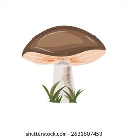 Hand drawn autumn mushroom on white background. Perfect for seasonal designs, DIY crafts, invitations and nature themed illustrations.