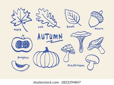 Hand Drawn Autumn Nature Doodle Collection Line Art with Maple Oak Birch Leaves Pumpkin Mushrooms and Acorn