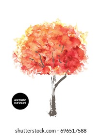 Hand drawn autumn nature illustration. Bright red maple tree with watercolor stain top and graphic trunk. 