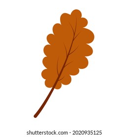 Hand drawn autumn oak leaf 