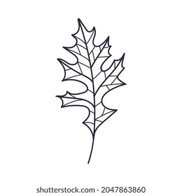 Ilustración del vector de contorno o contorno de roble de otoño dibujado a mano