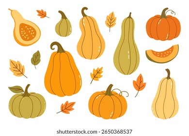 Hand Drawn Autumn Pumpkins and Colorful Leaves Collection — Cozy Seasonal Elements for Thanksgiving Decor, Harvest Themes, and Fall Design Projects on White Background