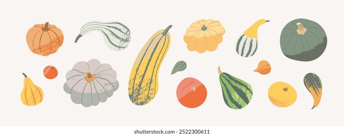 Hand drawn autumn pumpkins illustration. Fall harvest squash in different shapes. Thanksgiving and Halloween decorations gourd vector