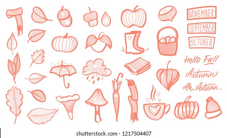 Hand drawn autumn set