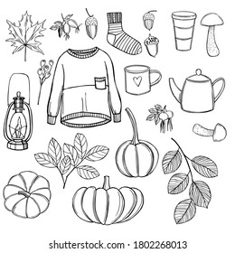 Juego de otoño dibujado a mano. Ilustración de esbozo del vector.