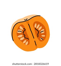 Hand drawn autumn squash and pumpkin set: butternut squash, crookneck gourd, pumpkin slice, warty gourds, and ornamental squash in orange, green, and yellow fall colors.