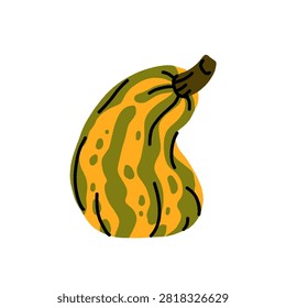 Hand drawn autumn squash and pumpkin set: butternut squash, crookneck gourd, pumpkin slice, warty gourds, and ornamental squash in orange, green, and yellow fall colors.