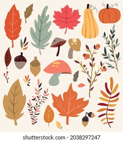 Hand drawn autumn vector collection with leaves, different plants, mushrooms, pumpkin, gourd, acorns and various isolated botanicals