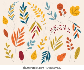 Hand drawn Autumn wild forest hand vector set. Yellow autumnal garden leaf, red fall leaf and fallen dry leaves. Botanical forest plants or september october tree foliage.