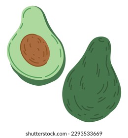 Hand drawn avocado. Cartoon fresh raw tasty avocado fruit, whole fruit and half. Organic avocado flat vector illustration on white background