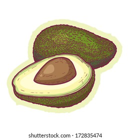 Hand Drawn Avocado Cartoon Vector.