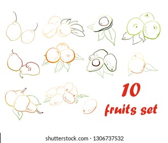 hand drawn avocado citrus orange Kumquat pear apricot quince apple