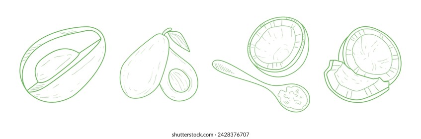 Hand Drawn Avocado and Coconut as Healthy Natural Product Vector Set