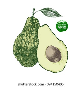Hand drawn avocado in color