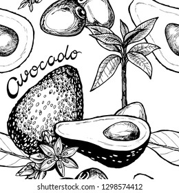 Hand drawn avocado fruit seamless botanical pattern. Healthy food wallpaper with white background and lettering text.