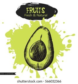 Hand drawn avocado isolated on green blot. Fruits sketch elements. Art hand-drawn vector illustration. Great for poster, banner, voucher, coupon.