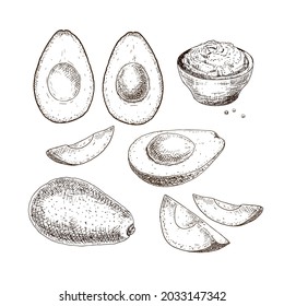 Hand drawn avocado. Set sketches with cut avocado and avocado sauce guacamole. Vector illustration isolated on white background.
