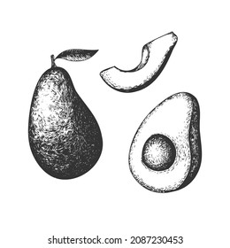 Hand drawn avocado set. Vector realistic slice, half and whole avocado.