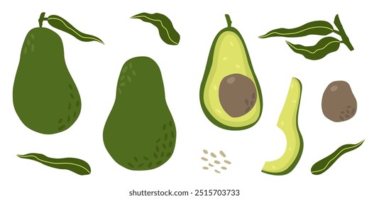 Conjunto de aguacate dibujado a mano. Elementos enteros y medio cortados con núcleo y hojas. aislados sobre fondo blanco. Ilustración plana de Vector, concepto de comida orgánica