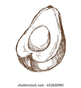 hand drawn avocado and sliced piece tropical fruit engraved style