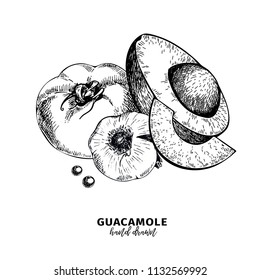 Hand drawn avocado, tomato and garlic. Guacamole dip ingredients. Vector engraved cooking icons. Mexican traditional food. Use for restaurant menu design, packaging, kitchen book illustration, flyer.