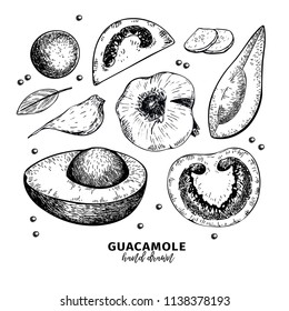 Hand drawn avocado, tomato and garlic. Guacamole dip ingredients. Vector engraved cooking icons. Mexican traditional food. Use for restaurant menu design, packaging, kitchen book illustration, flyer.
