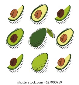 Hand drawn avocado in vector. Lobule, half and whole fruit