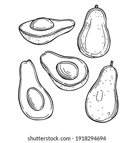 Hand drawn avocado. Vector sketch  illustration.