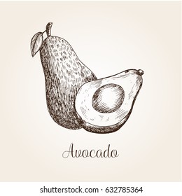 Hand drawn avocado in vintage style