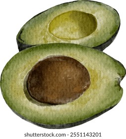 Aguacate dibujado a mano, estilo acuarela