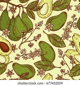 Hand drawn Avocados Vector Seamless pattern. Branches with leaves and fruit. Blossoming Avocado. Leaves, Flowers, Tropical Fruits. Floral background