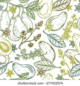 Hand drawn Avocados Vector Seamless pattern. Branches with leaves and fruit. Blossoming Avocado. Leaves, Flowers, Tropical Fruits. Floral background