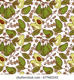 Hand drawn Avocados Vector Seamless pattern. Branches with leaves and fruit. Blossoming Avocado. Leaves, Flowers, Tropical Fruits. Floral background