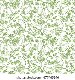 Hand drawn Avocados Vector Seamless pattern. Branches with leaves and fruit. Blossoming Avocado. Leaves, Flowers, Tropical Fruits. Floral background