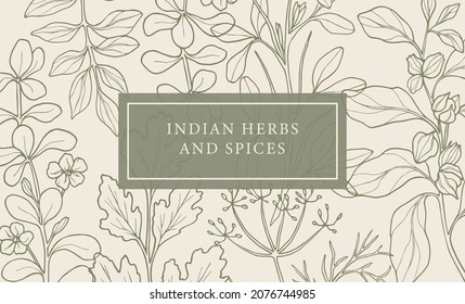 Hand Drawn Ayurvedic Medicinal And Culinary Herbs