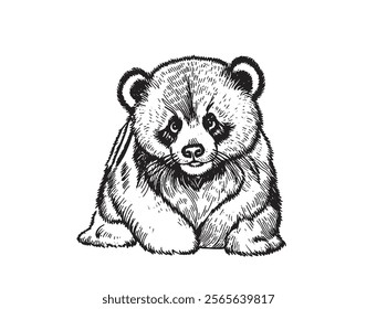 Hand drawn baby bear Black and White sketch illustration drawing icon logo transparent white background