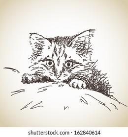 Hand drawn baby cat