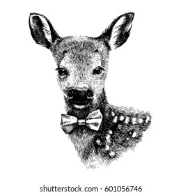 Hand drawn baby deer hipster on white. Vector illustration