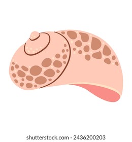 Hand drawn Babylon Seashell. Cartoon style flat illustration seashell isolated on white background. Vector illustration