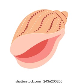 Hand drawn Babylon Seashell. Cartoon style flat illustration seashell isolated on white background. Vector illustration