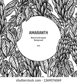 Hand drawn background with amaranth. Retro sketches. Vintage design. Layout for package. Black and white mockup. Vector illustration.