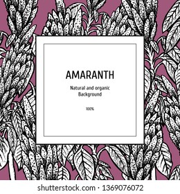 Hand drawn background with amaranth. Retro sketches. Vintage design. Layout for package. Black and white mockup. Vector illustration.