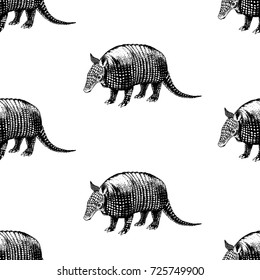 Hand drawn background with armadillo. Vector seamless pattern. Vintage style. Doodle line graphic design. Black and white drawing mammal. Vector sketch.