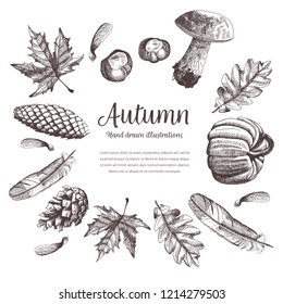 Hand drawn background with autumn elements. Vector illustration of mushroom, leaves, pumpkin, seed, feather, chestnuts, tree cones. Invitation, greeting card, poster etc.