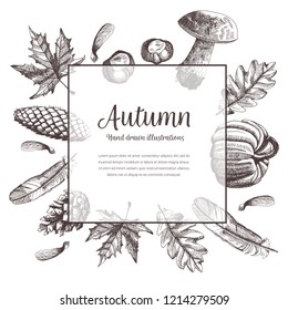 Hand drawn background with autumn elements. Vector illustration of mushroom, leaves, pumpkin, seed, feather, chestnuts, tree cones. Invitation, greeting card, poster etc.