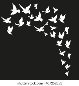 Hand drawn background with birds. Template for banners, cards, invitations.