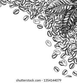 Hand drawn background with coffee plant and beans. Sketch of leaves. Vintage figure. Linear graphic design. Black and white image leaf. Vector layout design for packaging