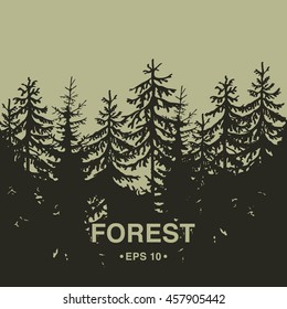 Hand drawn background of coniferous wood silhouette.