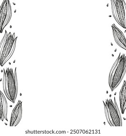 Hand drawn background with corn for text. Vector card with corn cobs, kernels.  Agricultural crop, harvesting, healthy food.  The image created without the use of any artificial intelligence software