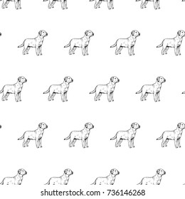 Hand drawn background with dog labrador. Vector seamless pattern. Vintage style. Doodle line graphic design. Black and white drawing mammal. Vector sketch.